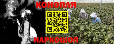 PSILOCYBIN Можга