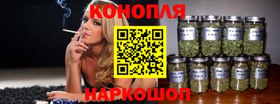 PSILOCYBIN Можга