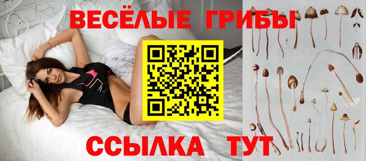Усинск  Галлюциногенные грибы мухоморы  Вход с VPN 