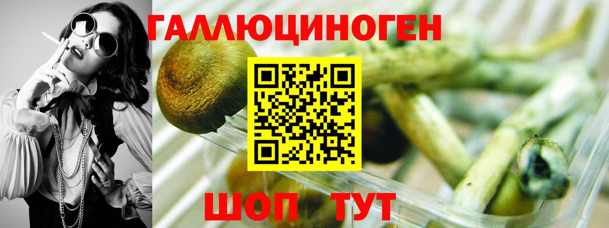 Галлюциногенные грибы мухоморы Усинск